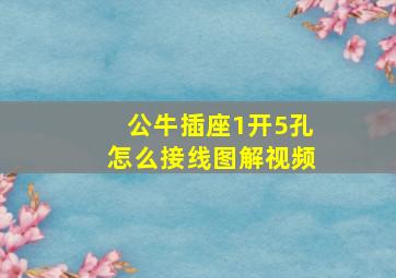 公牛插座1开5孔怎么接线图解视频