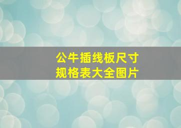 公牛插线板尺寸规格表大全图片