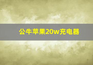 公牛苹果20w充电器