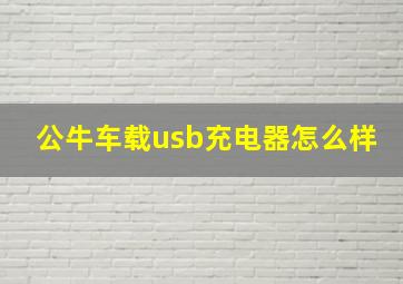 公牛车载usb充电器怎么样