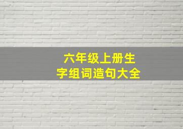 六年级上册生字组词造句大全