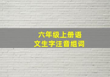 六年级上册语文生字注音组词