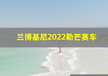 兰博基尼2022勒芒赛车