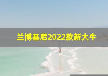 兰博基尼2022款新大牛