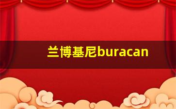 兰博基尼buracan