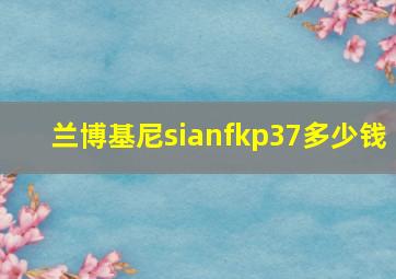 兰博基尼sianfkp37多少钱