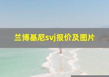 兰博基尼svj报价及图片