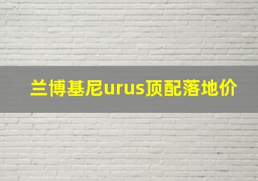 兰博基尼urus顶配落地价