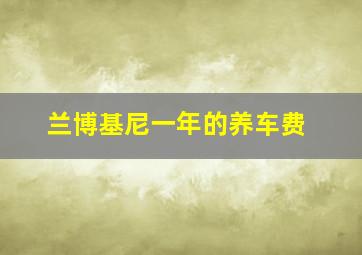 兰博基尼一年的养车费