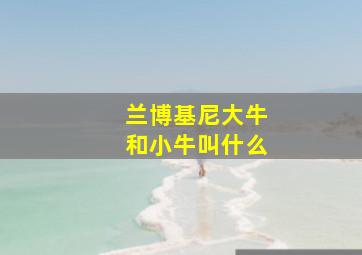 兰博基尼大牛和小牛叫什么