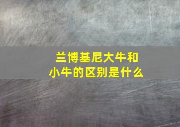 兰博基尼大牛和小牛的区别是什么