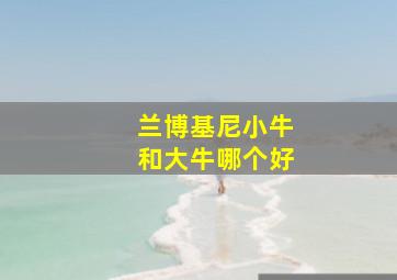 兰博基尼小牛和大牛哪个好