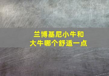 兰博基尼小牛和大牛哪个舒适一点