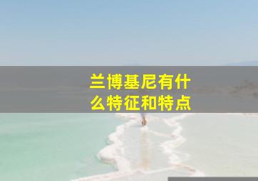 兰博基尼有什么特征和特点