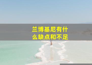 兰博基尼有什么缺点和不足