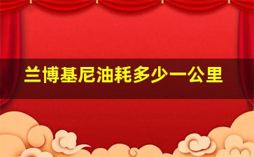 兰博基尼油耗多少一公里