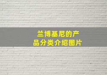 兰博基尼的产品分类介绍图片