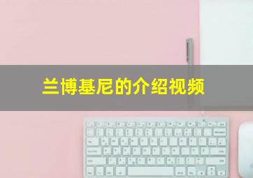 兰博基尼的介绍视频