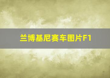 兰博基尼赛车图片F1