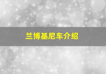 兰博基尼车介绍