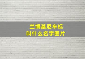 兰博基尼车标叫什么名字图片