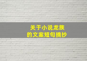 关于小说龙族的文案短句摘抄