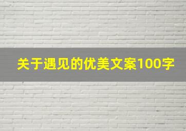 关于遇见的优美文案100字