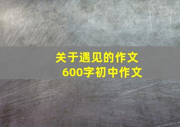 关于遇见的作文600字初中作文