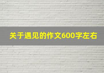 关于遇见的作文600字左右