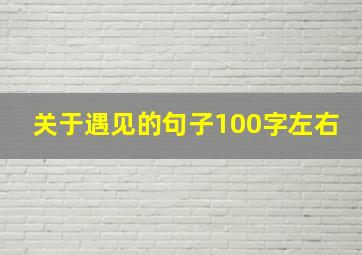 关于遇见的句子100字左右