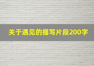 关于遇见的描写片段200字