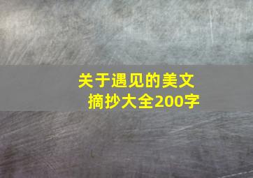 关于遇见的美文摘抄大全200字