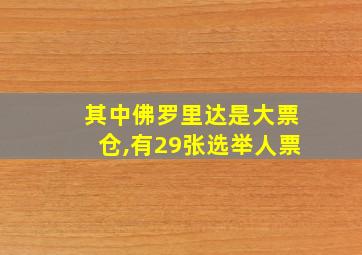 其中佛罗里达是大票仓,有29张选举人票