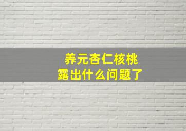 养元杏仁核桃露出什么问题了