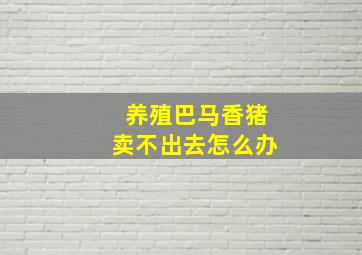 养殖巴马香猪卖不出去怎么办