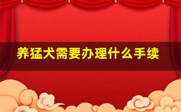 养猛犬需要办理什么手续