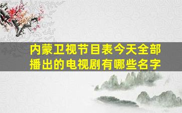 内蒙卫视节目表今天全部播出的电视剧有哪些名字