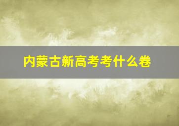 内蒙古新高考考什么卷