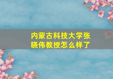 内蒙古科技大学张晓伟教授怎么样了