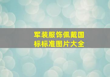 军装服饰佩戴国标标准图片大全