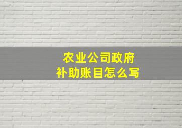 农业公司政府补助账目怎么写