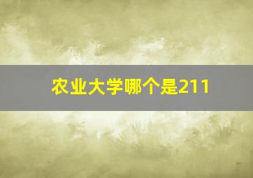 农业大学哪个是211