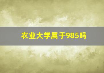 农业大学属于985吗