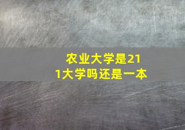 农业大学是211大学吗还是一本