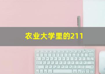 农业大学里的211