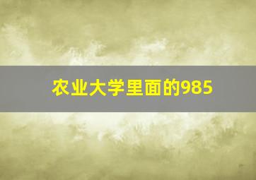 农业大学里面的985