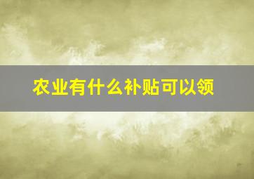 农业有什么补贴可以领