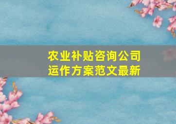 农业补贴咨询公司运作方案范文最新