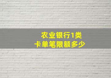 农业银行1类卡单笔限额多少