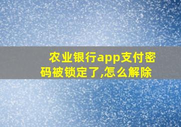 农业银行app支付密码被锁定了,怎么解除